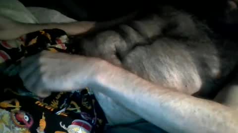 Snapshot of hardnick696 chatting on 02-13-25, 01:59 hardnick696 online show from 02-13-25, 01:59