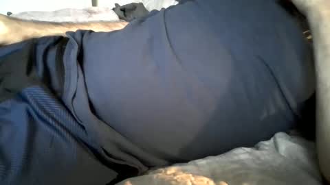 Snapshot of hardnick696 chatting on 02-19-25, 11:14 hardnick696 online show from 02-19-25, 11:14