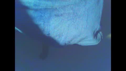 hardning online show from 12-28-24, 05:12