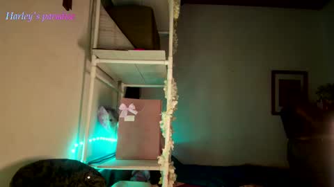 900 am to 300 pm - GTM 5 Weekdays online show from 11-28-25, 06:16