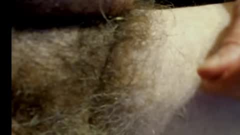 Snapshot of harry_banana chatting on 01-20-25, 11:10 harry_banana online show from 01-20-25, 11:10