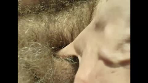 Snapshot of harry_banana chatting on 11-30-25, 03:27 harry_banana online show from 11-30-25, 03:27