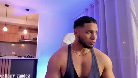 Harry Zandes online show from 01-29-25, 06:12