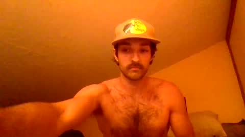 harrycheeks online show from 06-29-26, 06:41
