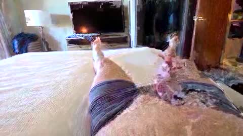 havebeardwilltravel3250 online show from 01-15-26, 07:28