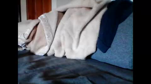 Snapshot of havier282874 chatting on 06-09-26, 04:57 havier282874 online show from 06-09-26, 04:57