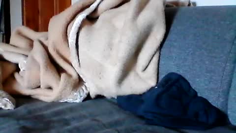 Snapshot of havier282874 chatting on 06-17-26, 08:06 havier282874 online show from 06-17-26, 08:06
