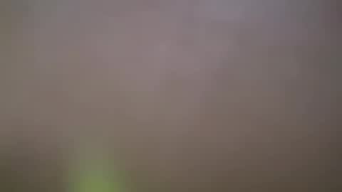 ZhongLi online show from 02-14-25, 02:54