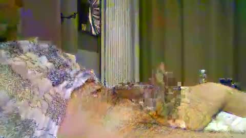 heddamedda59 online show from 04-03-26, 04:16