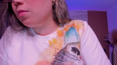 Heidy online show from 11-29-25, 03:31