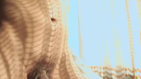 Helio online show from 02-03-26, 11:32