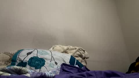 hellokitten123 online show from 01-28-25, 09:40