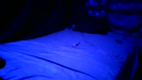 SissyNutsBustedCounter online show from 04-23-26, 08:02