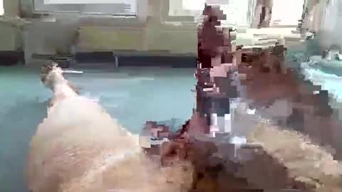 hera44 online show from 10-09-25, 10:57