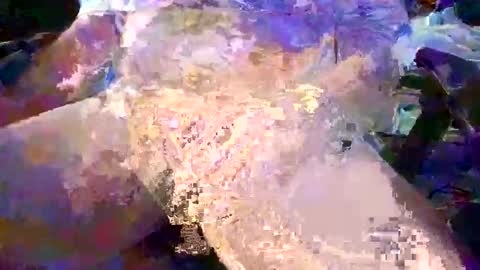 herletigre12345 online show from 10-26-25, 02:39