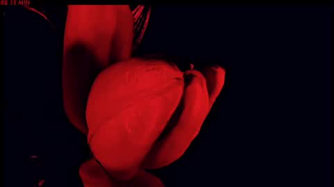 Snapshot of hetaerart chatting on 05-24-26, 08:14 Sasha online show from 05-24-26, 08:14