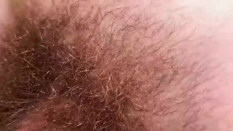 Arnold online show from 12-02-25, 09:21