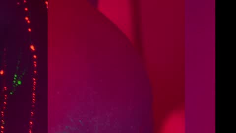 Alina online show from 12-11-24, 08:18