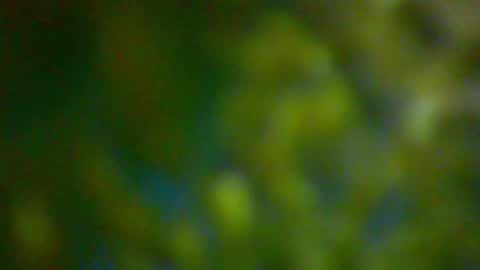 Snapshot of hhhjnf1 chatting on 10-06-25, 06:16 hhhjnf1 online show from 10-06-25, 06:16