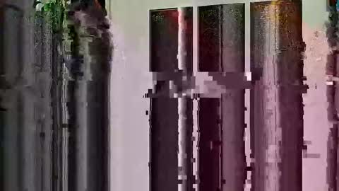 Snapshot of highandhell chatting on 02-19-26, 12:50 Highandhell online show from 02-19-26, 12:50