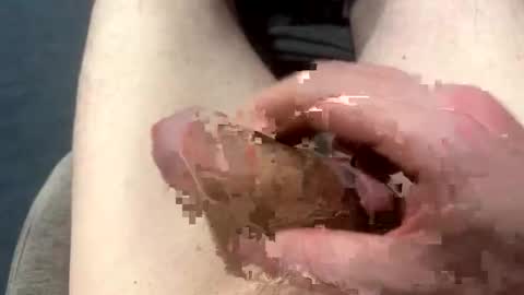 higradez online show from 03-24-26, 07:52