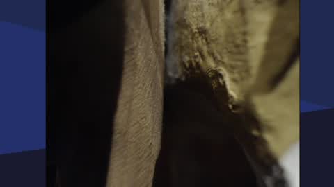 hobbypirat online show from 01-05-25, 08:00