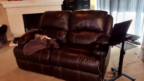 hollymaxxx online show from 06-28-26, 01:00