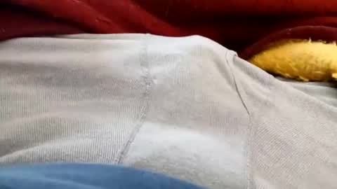 holycannoli123 online show from 02-05-26, 03:49