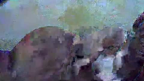 Snapshot of honey_sunshiny chatting on 02-03-26, 06:51 honey_sunshiny online show from 02-03-26, 06:51