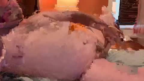 horndawglove online show from 01-06-25, 07:56