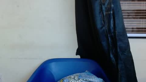 horny4bum online show from 03-01-25, 07:48