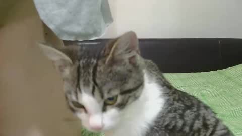 Serena online show from 11-08-25, 06:24