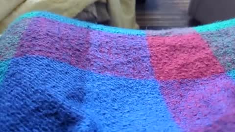 Tiny cock online show from 01-11-26, 10:26