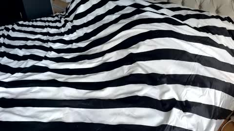 hornyasscouple1009 online show from 01-17-26, 11:37