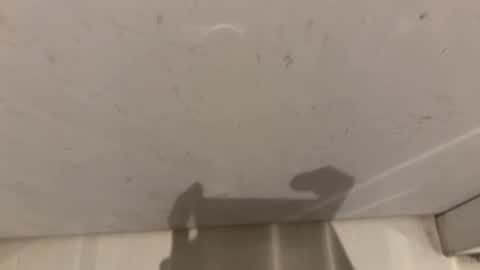 hornybear420420420 online show from 03-02-26, 09:16