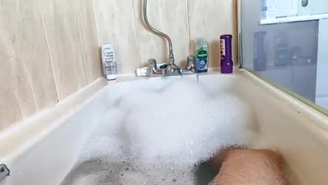 hornybiker1987 online show from 11-25-25, 12:05