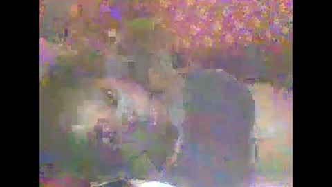 hornygal001 online show from 04-08-26, 05:07