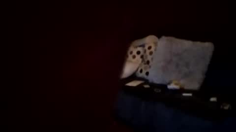 Snapshot of hornypaul84 chatting on 01-07-26, 01:19 hornypaul84 online show from 01-07-26, 01:19