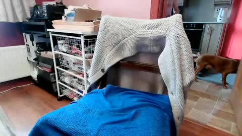 hornypenis127 online show from 06-06-26, 09:14