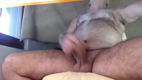 hornyswissman online show from 09-08-25, 05:01