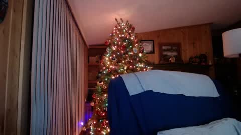 horsebigballs online show from 01-19-25, 05:15