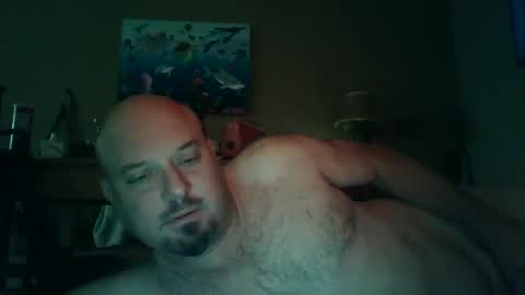 Snapshot of horsenamedcharlie chatting on 12-08-24, 02:19 Charles online show from 12-08-24, 02:19