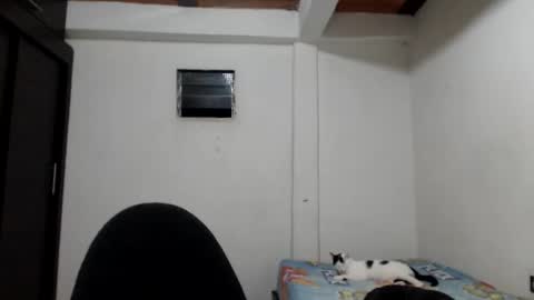 Snapshot of hot_angels___ chatting on 11-23-25, 05:40 angels online show from 11-23-25, 05:40