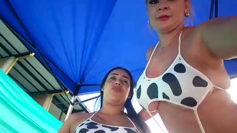 kittens online show from 04-16-26, 09:39