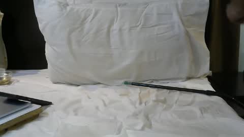 Snapshot of hotboyvicky chatting on 11-07-25, 09:15 hotboyvicky online show from 11-07-25, 09:15