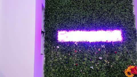 Snapshot of hotfallingdevil chatting on 12-21-25, 07:15 hotfallingdevil online show from 12-21-25, 07:15