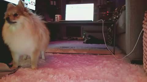 hotgirlbigbutt online show from 01-17-26, 11:15