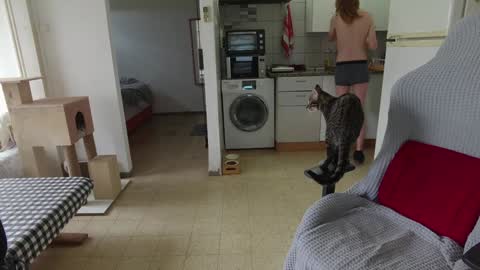 Snapshot of hotinhell666 chatting on 12-24-24, 09:50 Hikikomori Alex online show from 12-24-24, 09:50