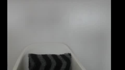 hotjessie0 online show from 02-18-26, 04:08