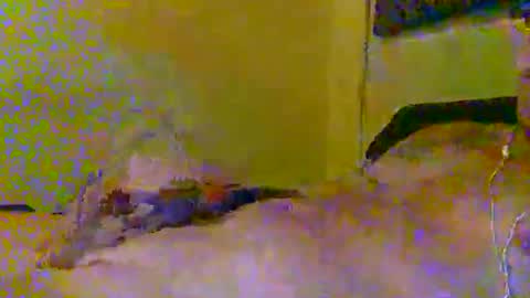 Snapshot of hotjox chatting on 03-05-26, 06:09 hotjox online show from 03-05-26, 06:09